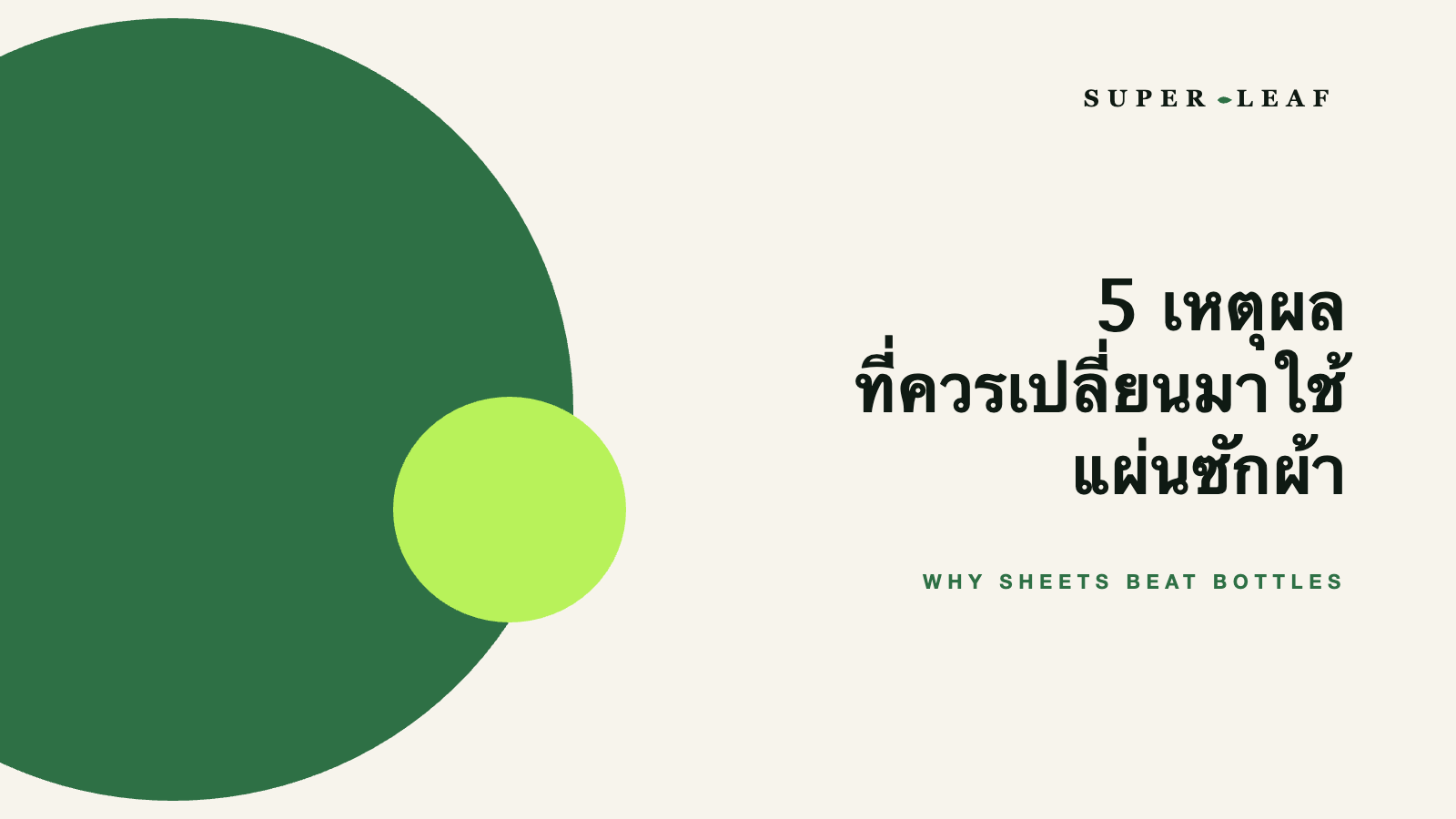 5 เหตุผลที่ควรเปลี่ยนมาใช้แผ่นซักผ้า — Super Leaf
